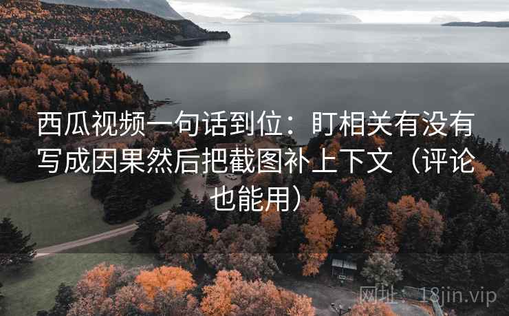 西瓜视频一句话到位：盯相关有没有写成因果然后把截图补上下文（评论也能用）